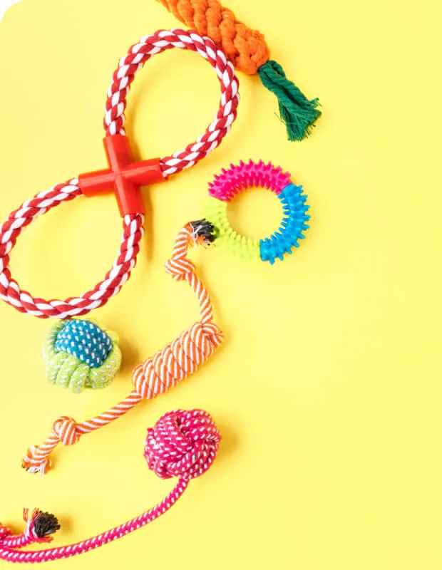 ドッグ用おもちゃがいくつか並んでいる写真